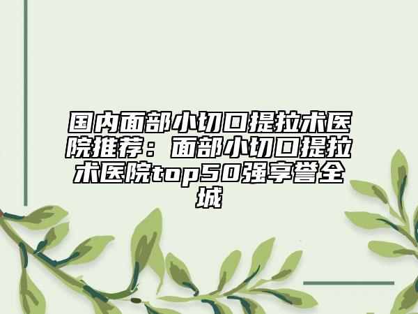 國內(nèi)面部小切口提拉術醫(yī)院推薦：面部小切口提拉術醫(yī)院top50強享譽全城