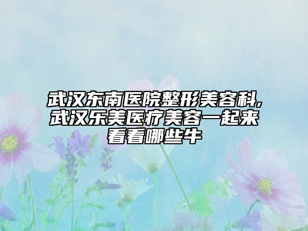 武漢東南醫(yī)院整形美容科,武漢樂美醫(yī)療美容一起來(lái)看看哪些牛