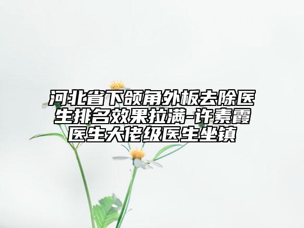 河北省下頜角外板去除醫(yī)生排名效果拉滿-許素霞醫(yī)生大佬級醫(yī)生坐鎮(zhèn)