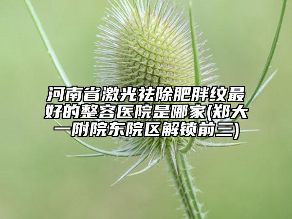 河南省激光祛除肥胖紋最好的整容醫(yī)院是哪家(鄭大一附院東院區(qū)解鎖前三)