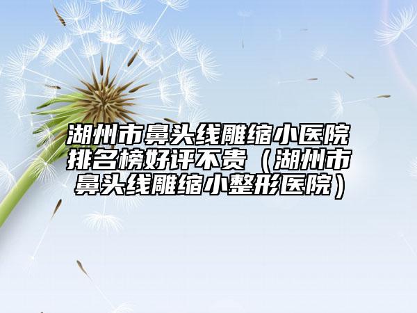 湖州市鼻頭線雕縮小醫(yī)院排名榜好評(píng)不貴（湖州市鼻頭線雕縮小整形醫(yī)院）