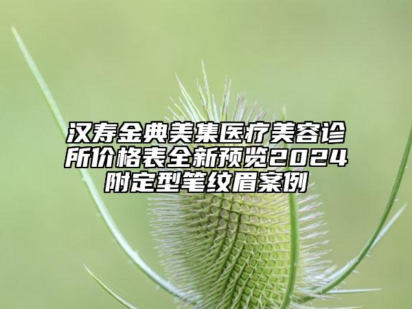 漢壽金典美集醫(yī)療美容診所價格表全新預覽2024附定型筆紋眉案例